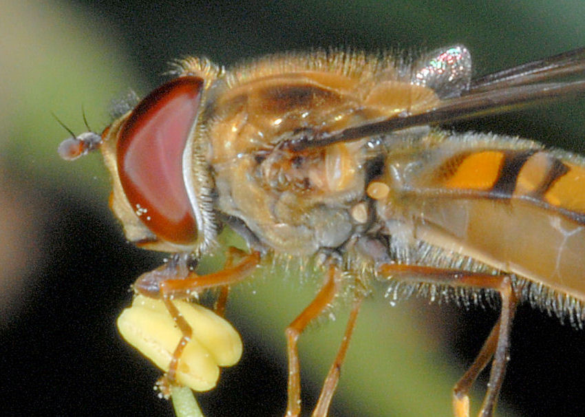 Queste vi consiglio proprio di guardarle!